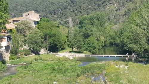 Vue verte - Location saisonnière - Bize-Minervois