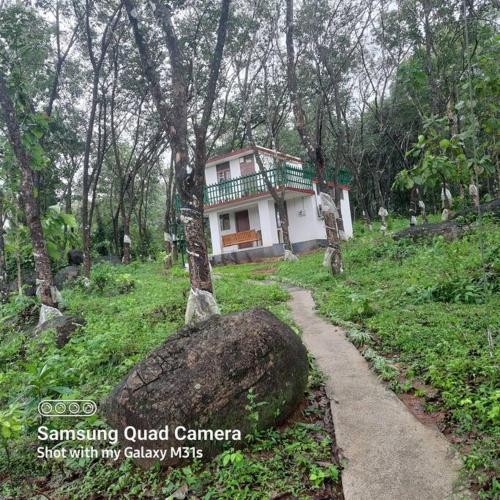 Farm stay in a coffee plantation