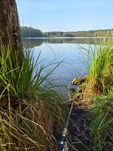 Mazury - Giżycko - Harsz - Domki - ApartMazury Osada