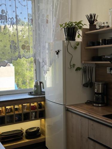 cuisine, Old city guesthouse Ulaanbaatar in Oulan-Bator