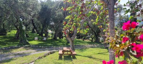 Hotel Yannis Corfu - main image