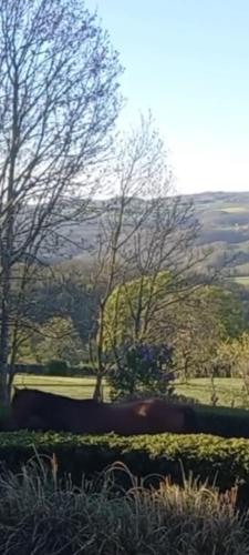 La croix des Landes gîte ou chambre d'hôte avec piscine à Chouvigny