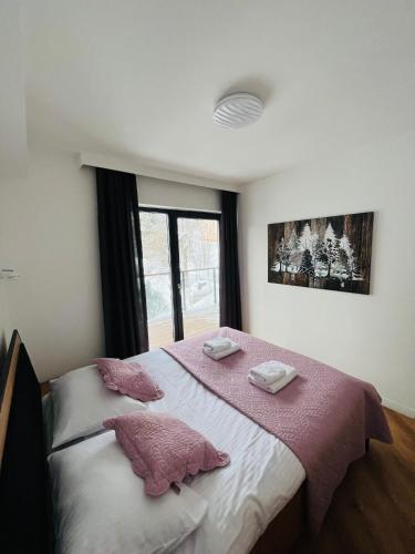 Szklarska4poryroku -Apartament I, Szklarska Poręba (foto 5)