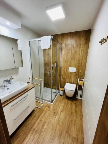 Szklarska4poryroku -Apartament I, Szklarska Poręba (foto 11)