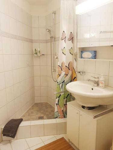 Duša, Ferienwohnung Romantica in Domat Ems