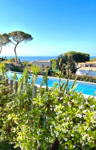 Superbe villa avec piscine et vue mer + Revellata
