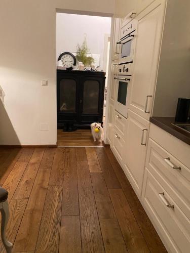 Charmante Altbauwohnung im Shabby Chic Stil mit Wintergarten und Gartenblick - Ihr perfektes Zuhause in Gosting