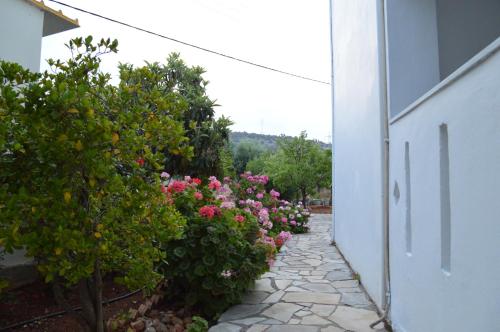 Nikos Apartments - image 4