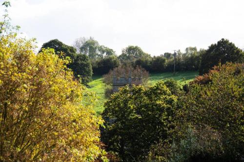 The Snug, Beautiful Country Retreat in Priston Village