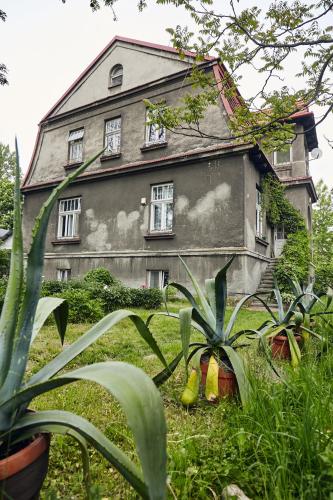 29 Avenue Apartments, Cracovie (photo 8)