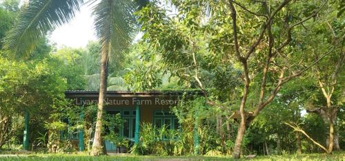 Liyara Nature Farm Resort