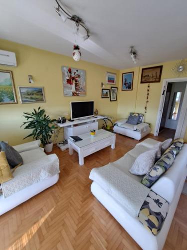 Apartman Swiss