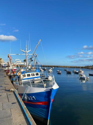 Maison à 100m du port de Barfleur - Location saisonnière - Gatteville-le-Phare