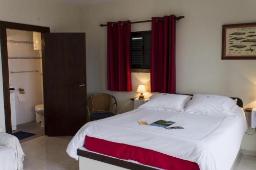 Vila Belgica - image 5