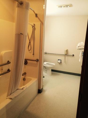 Microtel Inn by Wyndham Champaign - Hotel