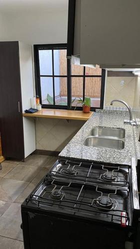 kök, Departamento Cerro Arco in Las Heras