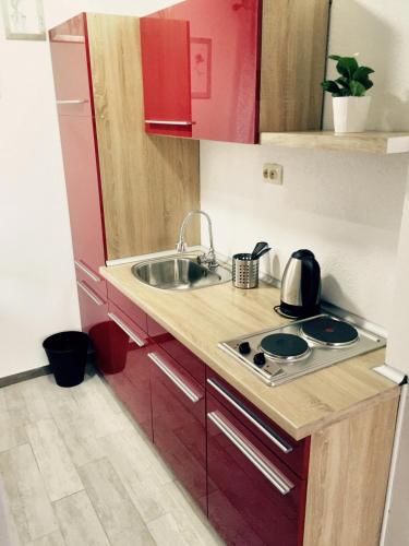 One bedroom apartement with shared pool furnished garden and wifi at Rakovica