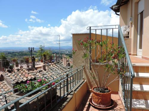 Hotel Signa 5