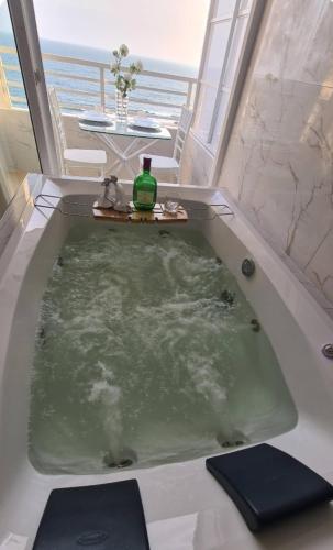 Ecusuites playas torre pacific ll