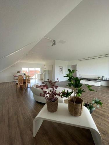 Penthouse Langenloiserberg