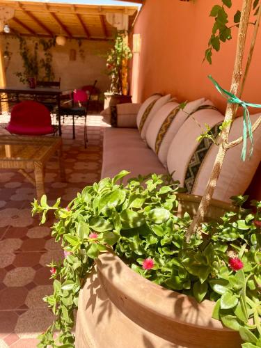 Riad tania mozaik Riad tania mozaik