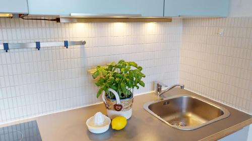 Ort Lemkenhafen Surfer in Lemkenhafen