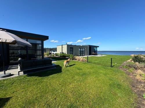 Enkhuizer Strand Chalet IJsselmeerblick Zweite Reihe mit Zaun Haus Nr 221 in Boerenhoek Molenweg Burgwal