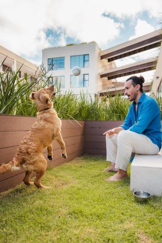 parveke/terassi, Hotel Faranda Single 1 Punta Cana - Adults Only in Punta Cana