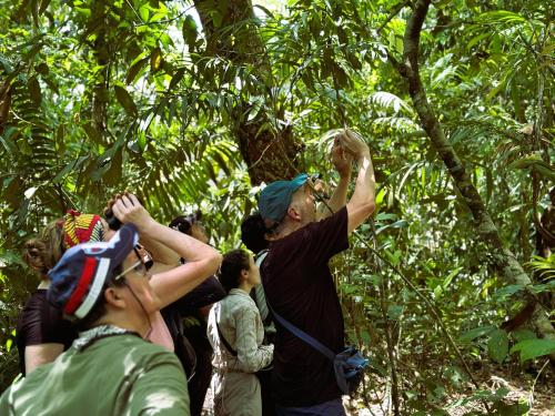 Suchipakari Amazon Eco -Lodge & Jungle Reserve