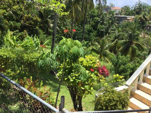 Serenity 2-Bed Apartment in Port Antonio