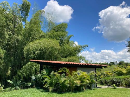 Renewal Retreat, The Aviary, Unique Sanctuary of Connection for Solos and Duets