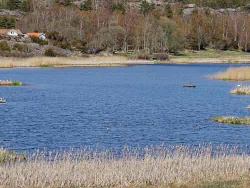 Holiday home Fjällbacka VI - image 11