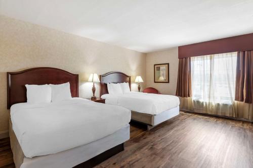 Business Queen Room with Two Queen Beds - Non-Smoking
