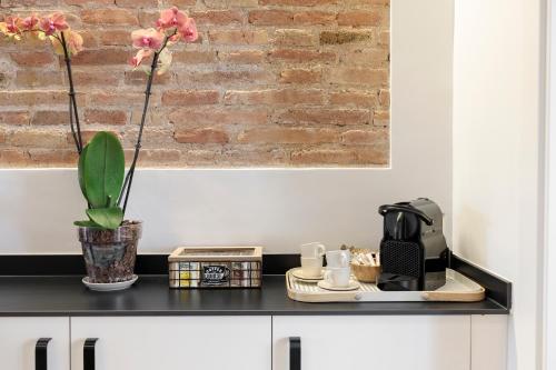 Poble Sec Charming Apartment, Barcelona (fotografie 10)