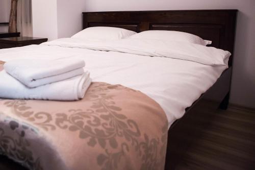 Pensiunea Almas Room Type - Double Room