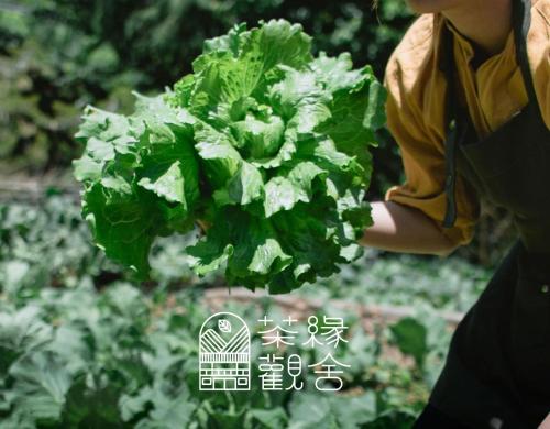 茶緣觀舍民宿, Fanlu (foto 8)