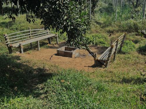 Létesítmények, 4 Bedroom Jungle Villa in Panamaram