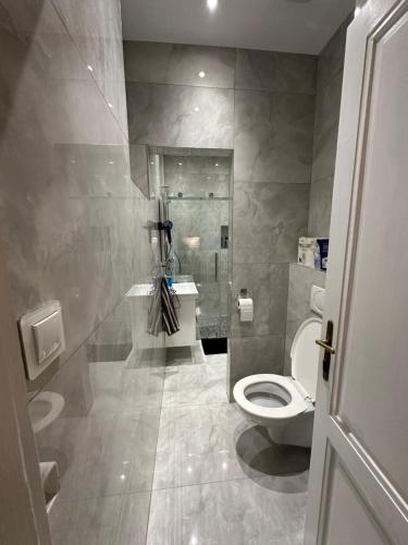 Karlin Oasis 2-Bedroom Apartment, Praha (fotografie 8)