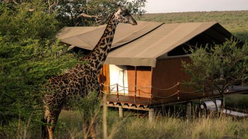Green Garden Serengeti Luxury Tented Camp