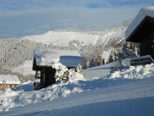Chalets Savoie - image 10
