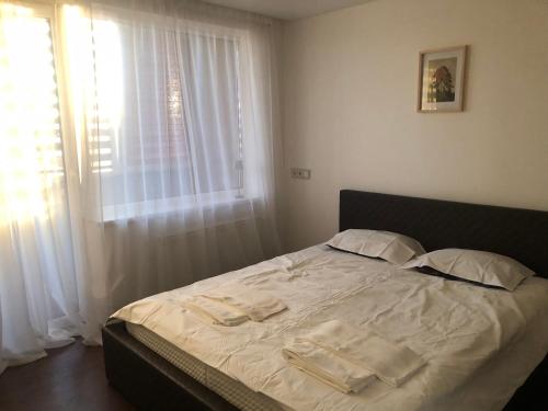 Rent a Home, Panevėžys