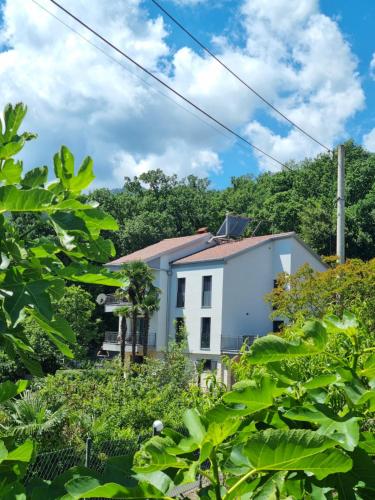 Apartmani ViVa - Location saisonnière - Lovran