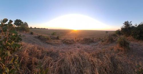 Last Eden Safari Bush Camp in Muchenje
