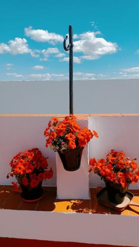 Casa Campana - image 13