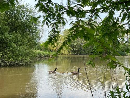 Omgivelser, Amber Lodge Hickstead-C in Twineham