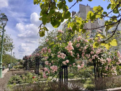 Marie Et Igor – Paris, TX