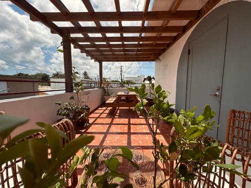 Garden, Sonsolea in Luquillo