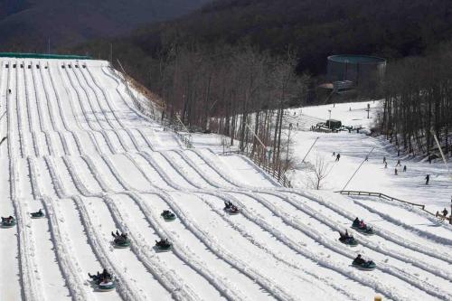 Wild Ridges! Wineries, Hiking, Fireplace, Pets! in Mount Torry Furnace, USA
