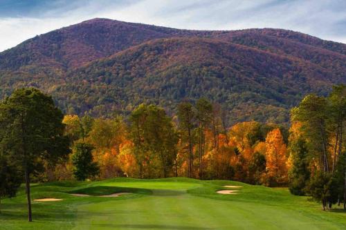 Wild Ridges! Wineries, Hiking, Fireplace, Pets! in Mount Torry Furnace, USA