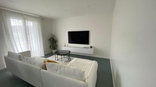Modern Green & White - Apartments T3 60m2 Annecy - Parking Privé - WIFI - Netflix